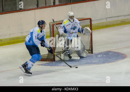 Novi Sad, Serbie. 14 octobre 2017. Match de la Ligue internationale de hockey (IHL) entre le domicile HC Vojvodina Novi Sad et l'extérieur HK Triglav Kranj. Crédit : Hardtodigit/Alamy Live News Banque D'Images