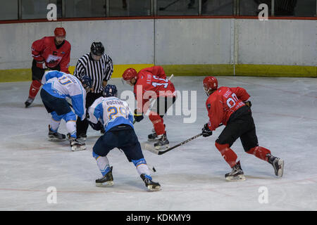 Novi Sad, Serbie. 14 octobre 2017. Match de la Ligue internationale de hockey (IHL) entre le domicile HC Vojvodina Novi Sad et l'extérieur HK Triglav Kranj. Crédit : Hardtodigit/Alamy Live News Banque D'Images