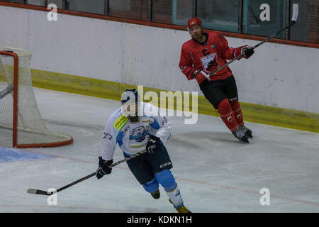 Novi Sad, Serbie. 14 octobre 2017. Match de la Ligue internationale de hockey (IHL) entre le domicile HC Vojvodina Novi Sad et l'extérieur HK Triglav Kranj. Crédit : Hardtodigit/Alamy Live News Banque D'Images