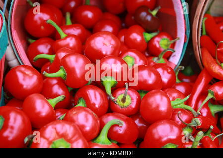 Poivrons rouges sur un marché agricole Banque D'Images