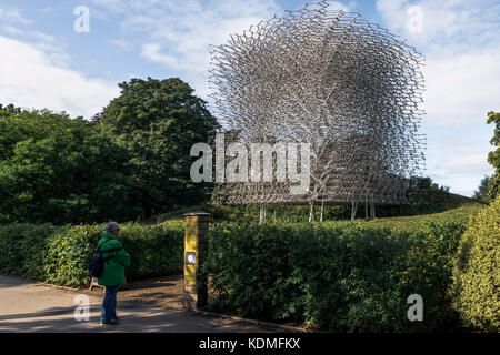 La ruche, l'expérience sensorielle à Kew Royal Botanical Gardens, Londres, conçu par Wolfgang buttress propice, uk pavilion at Expo Milan 2015. Banque D'Images