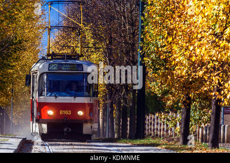 Prague Tram 22 ligne de tramway, automne Prague automne rue tilleuls dans le quartier du Château de Prague République tchèque Urban October City Trees Banque D'Images