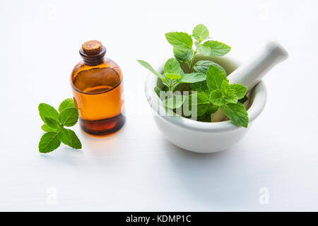 L'huile essentielle de menthe naturelle dans une bouteille en verre avec des feuilles de menthe fraîche dans un mortier en porcelaine blanche. Banque D'Images