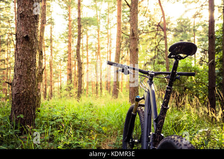 Vtt MTB sur eté vert sentier forestier, paysage d'inspiration. Vélo cyclisme sur route de campagne. Sport, motivation et l'inspiration Banque D'Images