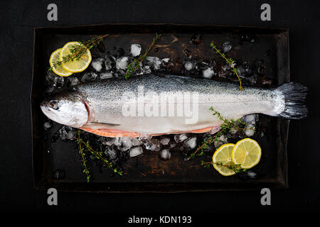 Saumon cru frais poisson rouge avec de la glace sur un fond sombre. Télévision. Vue de dessus Banque D'Images