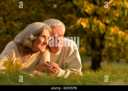 Happy senior couple relaxing in autumnal park Banque D'Images