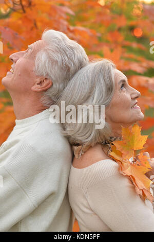 Happy senior couple relaxing in autumnal park Banque D'Images