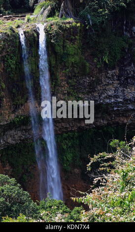 L'Charmarel Cascade est la plus haute cascade dans l'Océan Indien, l'île Maurice en format portrait Banque D'Images