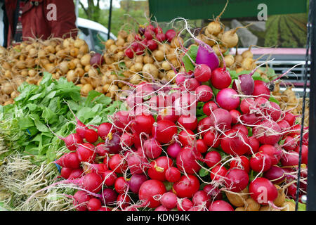 Queen's square Farmers' Market Banque D'Images