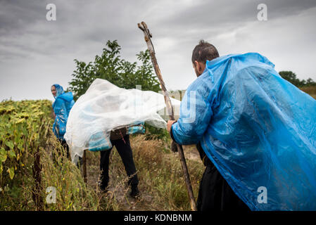 Procession de la croix à la Dormition Kamianets-Podilsky Sainte Pochaev Lavra, le 19 août - 25, 2017, de l'Ukraine. Depuis plus de 150 ans, la procession a rassemblé des milliers de pèlerins qui traverserait le chemin de 210 kilomètres pendant 7 jours. Plus de 20 000 croyants ont pris part à l'événement cette année. Banque D'Images