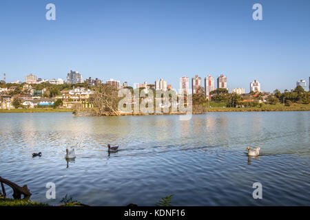 Vue sur le lac de barigui park avec les oies et les toits de la ville - Curitiba, Parana, Brésil Banque D'Images