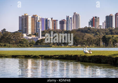 Vue sur le lac de barigui park avec les oies et les toits de la ville - Curitiba, Parana, Brésil Banque D'Images