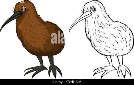 Doodle animal pour kiwi oiseau illustration Illustration de Vecteur