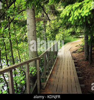 Sentier en bois dans les forêts de l'île de Valaam. vieillissement photo. sentier dans les bois. tonique. piétons dans le village. à l'extérieur. République de Carélie, en Russie. Banque D'Images