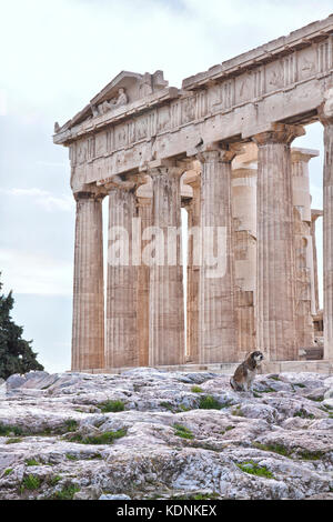 Le Parthénon est un ancien temple sur l'acropole d'Athènes, Grèce, dédié à la déesse Athéna, que le peuple d'Athènes, considérée comme leur patron Banque D'Images