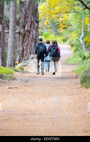 Les randonneurs à pied autour du magnifique Loch an Eilein sentier à travers la forêt rothiemurchus sur le domaine de rothiemurchus, Aviemore, Scotland, UK Banque D'Images