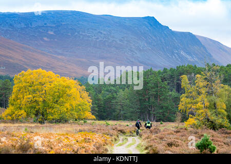 Un couple d'amis à vélo sur la piste au début de la montagne de Lairig Ghru passent par le domaine de rothiemurchus et forêt, Ecosse, Royaume-Uni Banque D'Images