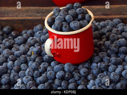 Close up de bleuets frais mûrs en rouge ancienne rétro metal mug plus de tas de petits fruits au marché des fermiers de détail Affichage, high angle view Banque D'Images