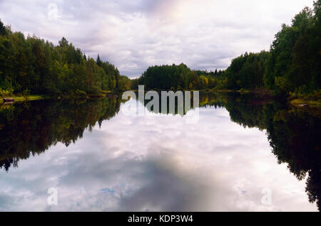 Forêt du nord vers la fin de l'été en soirée, reflétée dans l'eau. bassin de la rivière vyg, Carélie, Russie. Banque D'Images