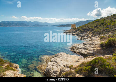 Ruines de la tour génoise de mortella avec une turquoise de la Méditerranée et de la côte rocheuse du désert des agriates, près de St Florent en corse wi Banque D'Images