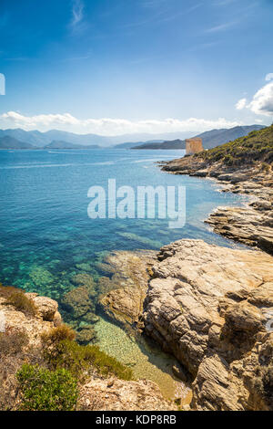 Ruines de la tour génoise de mortella avec une turquoise de la Méditerranée et de la côte rocheuse du désert des agriates, près de St Florent en corse wi Banque D'Images