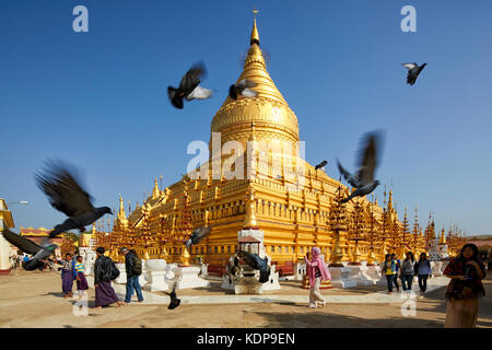 Shwezigon Paya (pagode), Bagan (Pagan), le Myanmar (Birmanie), en Asie du sud-est Banque D'Images