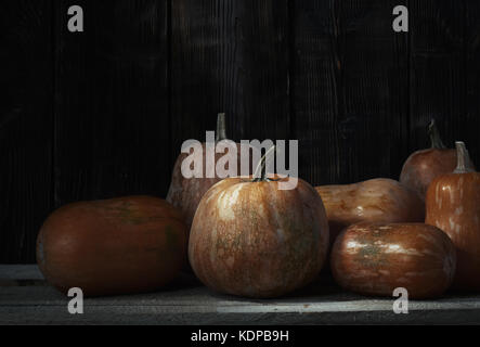 Pile de citrouilles après la récolte en milieu rural place Banque D'Images