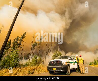 Les pompiers de l'arrière-pays confèrent aux termes d'une colonne de fumée s'échapper du complexe jones de brûler dans l'incendie de forêt la forêt nationale de Willamette, 19 août 2017 près de Blue River, Oregon. Banque D'Images