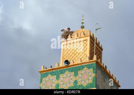 Nid de cigognes sur le minaret de la Mosquée Sidi El Ghamli ville de Settat. Maroc Banque D'Images