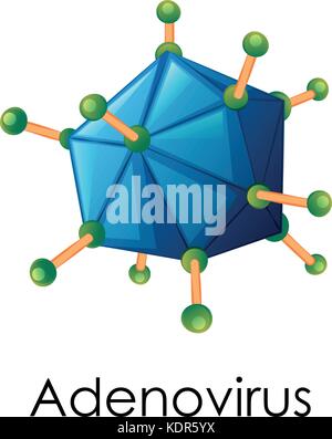 Schéma de structure de l'illustration d'adénovirus Illustration de Vecteur
