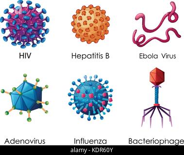 Six types de virus sur fond blanc illustration Illustration de Vecteur