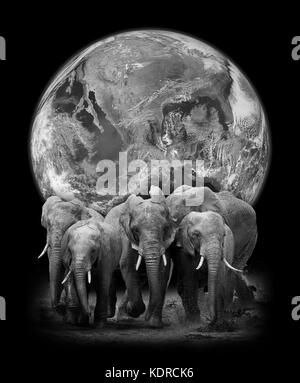 Les éléphants sur le fond de la terre. les éléments de cette image fournie par la NASA Banque D'Images