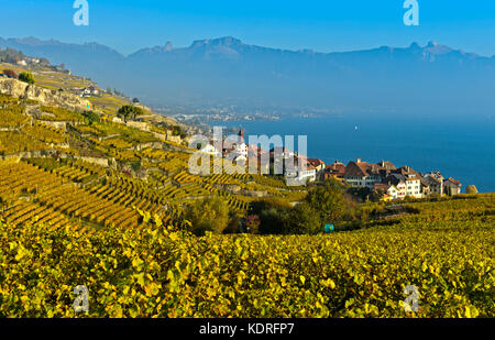 Village viticole de rivaz dans le lavaux, Vaud, Suisse Banque D'Images