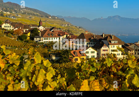 Village viticole de rivaz dans le lavaux, Vaud, Suisse Banque D'Images