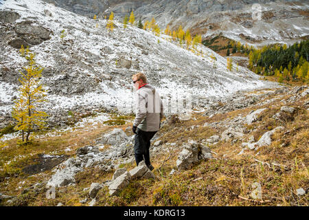 Randonnée dans la région du Cirque de Pocaterra près de Highwood Pass dans le pays de Kananaskis, Alberta, Canada. Banque D'Images