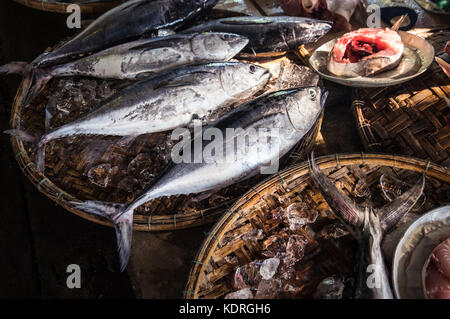 Poisson frais affichés sur des plateaux de Bambou Bar, marché Dong dans Hue Banque D'Images