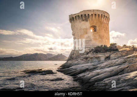 Ruines de la tour génoise de mortella à côté de la mer Méditerranée sur la côte rocheuse du désert des agriates, près de St Florent en corse Banque D'Images