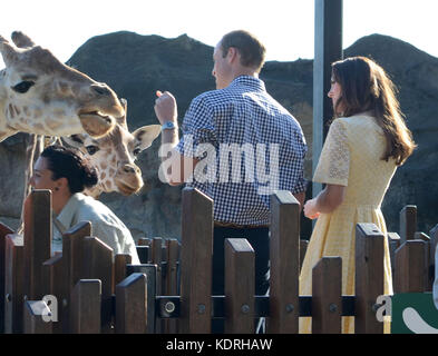 Sydney, AUSTRALIE - 20 AVRIL : Prince William, duc de Cambridge et Catherine, duchesse de Cambridge au zoo de Taronga le 20 avril 2014 à Sydney, Australie. Population: Prince William, duc de Cambridge et Catherine, duchesse de Cambridge Réf. Transmission: MNCUK1 crédit: Hoo-Me.com/MediaPunch ***NO UK*** Banque D'Images