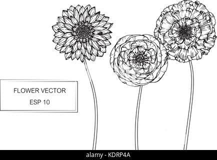 Illustration dessin fleurs. Noir et blanc avec des illustrations. Illustration de Vecteur