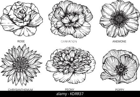 Collection de fleurs le dessin et croquis avec line-art sur fonds blancs. Illustration de Vecteur