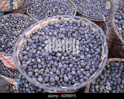 Paniers de fruits, de bacaba, cousin d'acai acai vendu au marché, à Belém, Brésil Banque D'Images