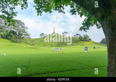 Vert foncé à vert clair de l'herbe dans l'ombre de l'arbre de chêne ossature des moutons et des cibles dans le champ de tir à l'obélisque sur hill cornwall park, Auckland Banque D'Images