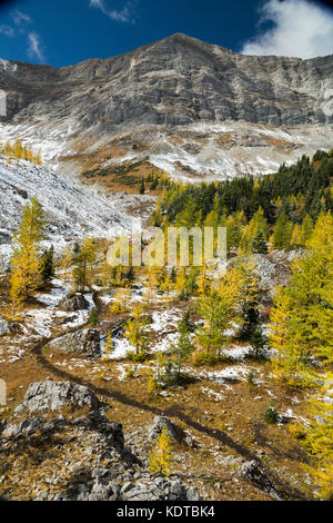 Randonnée dans la région du Cirque de Pocaterra près de Highwood Pass dans le pays de Kananaskis, Alberta, Canada. Banque D'Images