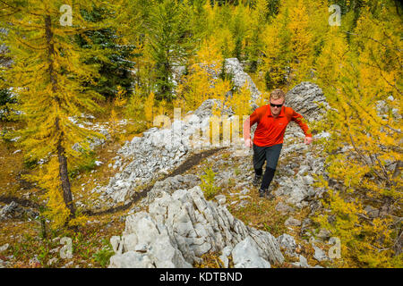 Randonnée dans la région du Cirque de Pocaterra près de Highwood Pass dans le pays de Kananaskis, Alberta, Canada. Banque D'Images