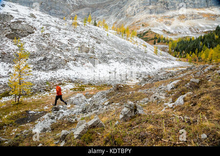 Randonnée dans la région du Cirque de Pocaterra près de Highwood Pass dans le pays de Kananaskis, Alberta, Canada. Banque D'Images