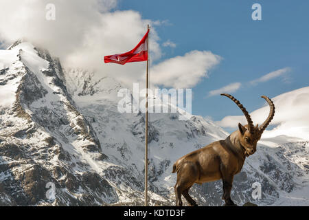 Statue de Bouquetin des Alpes autrichiennes et drapeau sur haut de montagne à la haute route alpine du grossglockner salon en Autriche. Banque D'Images