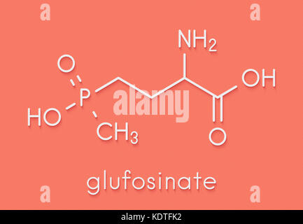 Glufosinate (herbicide non sélectif) de la phosphinothricine. molécule cultures transgéniques (OGM) ont été créés qui sont résistantes au glufosinate-f du squelette. Banque D'Images