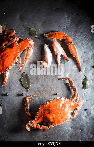 Ingrédients pour crabe frais avec piment et feuille de laurier Banque D'Images