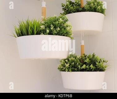 Plantes vertes artificielles dans un pot à fleurs en métal blanc, suspendu à l'air pour la maison et décoration de bureau sans l'attention. Banque D'Images