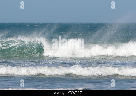 Newquay, Royaume-Uni. 16 octobre 2017. Météo Royaume-Uni. De forts vents au large de l'ex-ouragan Ophelia rasent les hauts vagues sur la côte nord de Cornwall sur Fistral Beach. Crédit : Nicholas Burningham/Alay Live News Banque D'Images